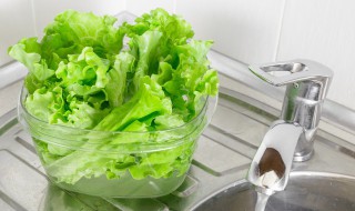 球形生菜怎么做好吃(球形生菜的吃法)