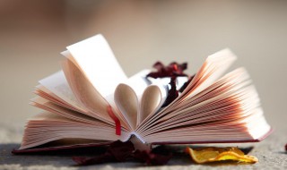 藕字五笔怎么打（藕字五笔怎么打的）