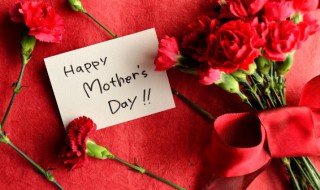 康乃馨花是不是开花后就死了（康乃馨开花后死亡）