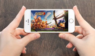 口袋妖怪什么方法破种替保护型战术（口袋妖怪替身流战术）