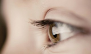 剪眼睫毛真的能让眼睫毛变长吗? 婴儿剪眼睫毛真的能让眼睫毛变长吗