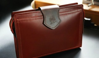 皮包长霉了怎么处理 皮包长霉点了怎么办