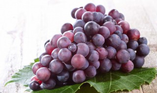 提子皮怎么洗才干净(提子的皮怎么剥皮)