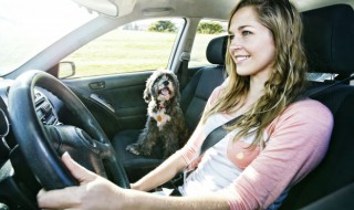 车窗怎么按一下自动升上去 车窗怎么按能一下升上去