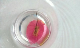 水晶滴胶怎么制作（水晶滴胶教程）