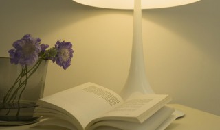 社会调查研究的理论基础是什么(社会调查研究的理论基础是什么意思)