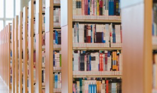 三国演义是何种体裁 三国演义的文体构成