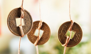 家里飞进臭虫有什么兆头 老是有臭虫飞进家怎么办