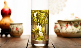 白毫银针怎么分辨好坏（白毫银针如何分辨好坏）