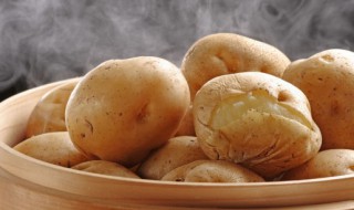 酱土豆的家常做法食谱 酱土豆的家常做法简单