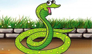 水蛇是保护动物吗（水蛇是野生动物吗）