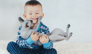 家里有小孩可以养猫吗 家里有小孩可以养猫吗猫咪老是掉毛有影响