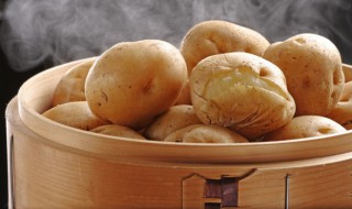 如何养好土豆植物呢 怎样养土豆