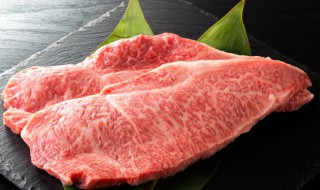 猪肉梅花肉是哪个部位 猪肉梅花肉是哪个部位肘窝肉