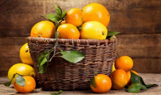 如何养好一棵橘子树（盆栽橘子树怎么养）