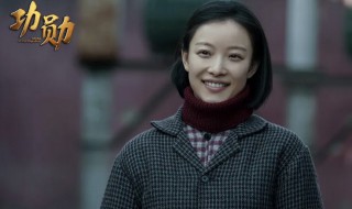 电视剧功勋剧情介绍（柳云龙的电视剧功勋剧情介绍）