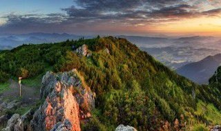 蒙顶山旅游攻略（蒙顶山旅游线路）