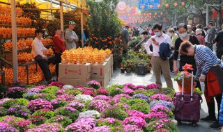 阳台种什么香型的花（适合阳台养的浓香型花）