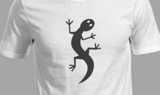 t恤上的印花黏糊胶了怎么去掉(怎么把t恤上的胶印花弄掉)