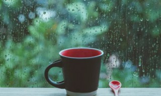 梅雨季节如何除湿防潮 梅雨季节防潮湿的最好方法