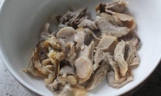 河蚌肉怎么烧（河蚌肉怎么烧才烂）