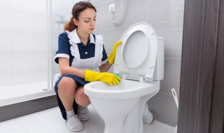 厕所便池污垢怎么清除 厕所便池污垢怎么清除干净