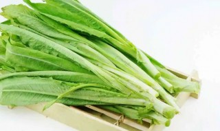 油麦菜汤怎么做 油麦菜汤怎么做好喝