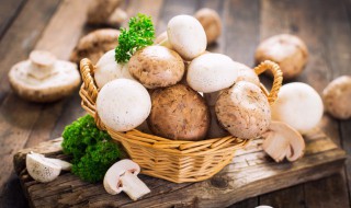 怎么做蘑菇汤 怎么做蘑菇汤好吃