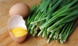 韭菜蒸鸡蛋的做法 韭黄蒸鸡蛋的做法
