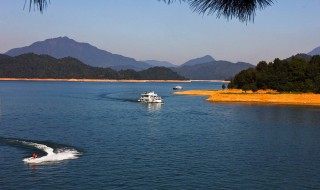 太平湖风景区旅游攻略（太平湖风景区旅游攻略自驾游）