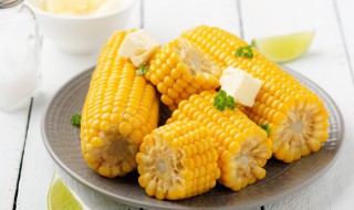 蒸熟的玉米的保存方法 蒸熟的玉米怎么存放