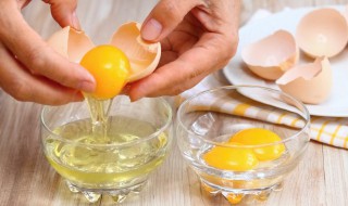 鸽子蛋可以和鸡蛋放在一起蒸吗 鸡蛋能和鸽子蛋一起蒸蛋羹吗?