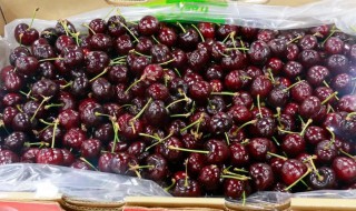 水果店车厘子的保存方法 车厘子怎么保存的