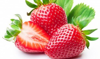 红颜草莓能陆地栽培方法 红颜草莓种植技术详解