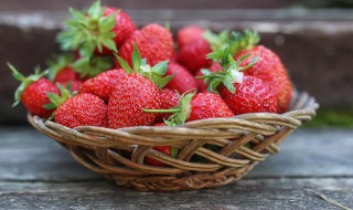 草莓盆栽种植注意事项 种植盆栽草莓需要注意事项