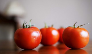 南方什么时候种西红柿 南方西红柿几月份种植最好