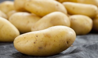 马玲薯什么时候种 马铃薯什么时候种植最好