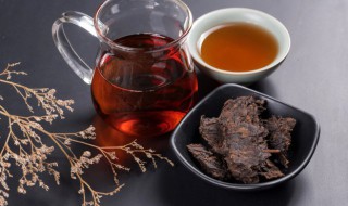 肉桂茶是什么茶种（正岩肉桂茶是什么茶种）