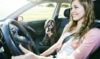 奥迪A8l混动有几把钥匙 奥迪a8怎么插钥匙启动