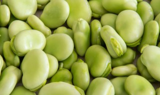 晒干的蚕豆怎么做好吃 晒干的蚕豆怎么做好吃又简单