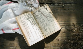 什么是食物链（什么是食物链的富集作用）