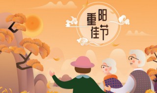 登高插茱萸是什么节日（什么时候登高插茱萸）