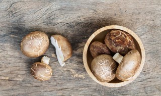 鲜磨菇如何煮汤煮几分钟会熟 蘑菇煮汤要煮多久