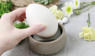 煮鹅蛋用几分钟能熟 鹅蛋一般煮多少分钟能熟