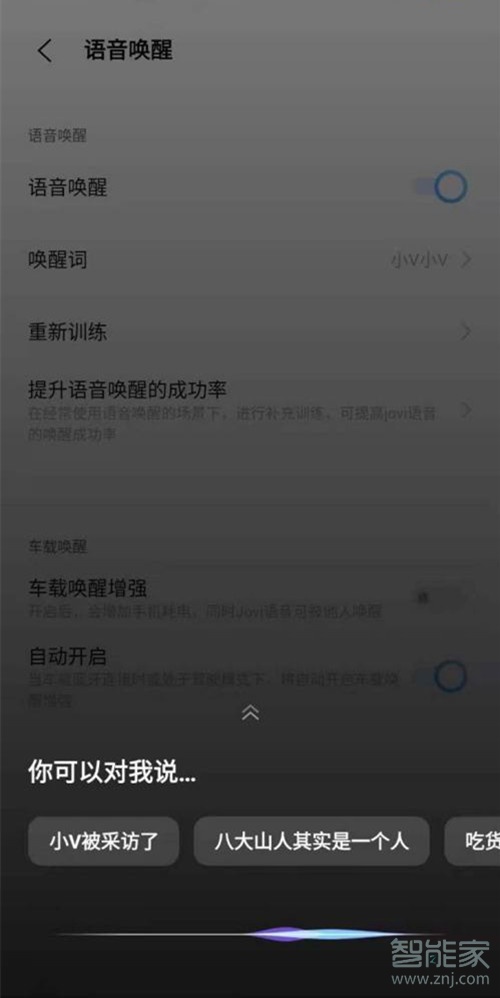 vivo手机叫什么名字可以唤醒