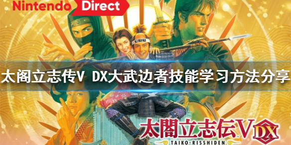 太阁立志传V（太阁立志传v dx攻略）