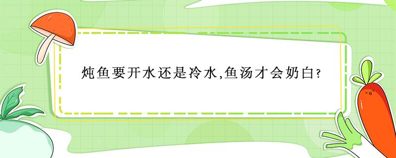 炖鱼要开水还是冷水,鱼汤才会奶白?