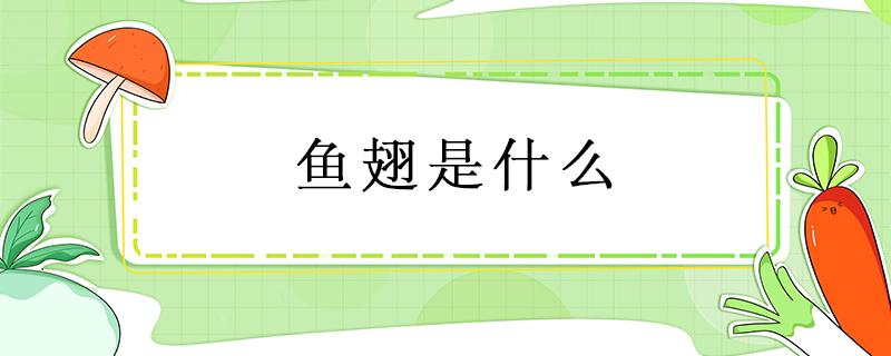 鱼翅是什么 鱼翅是什么鱼的哪个部位