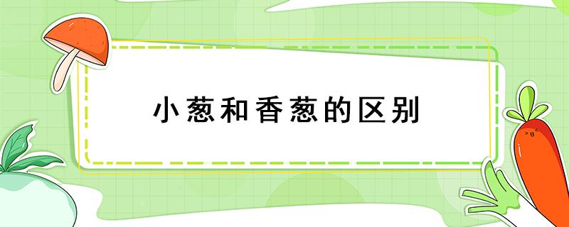 小葱和香葱的区别 大葱小葱和香葱的区别