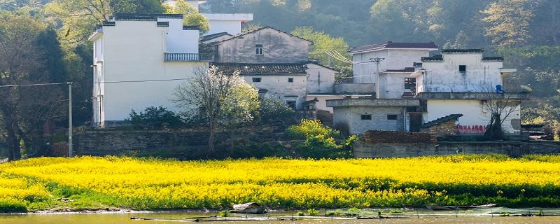 清明节能出去玩吗 清明节能出去玩吗?